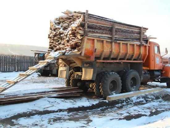 Дело о незаконном уничтожении 1000 деревьев в Забайкалье передали в суд
