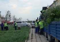 Стартовавшая перед майскими праздниками ежегодная кампания по высадке цветов в Южно-Сахалинске набирает обороты: ежедневно рабочие МБУ «Зеленый город» высаживают от 7 до 12 тысяч саженцев, в зависимости от размеров