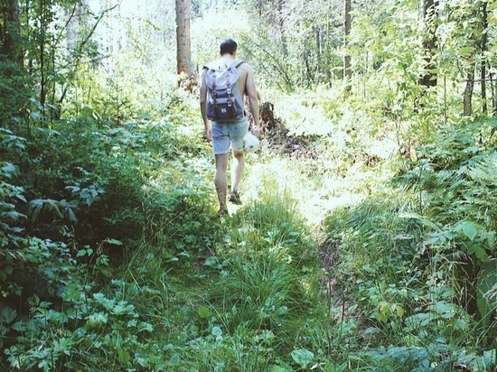 «Хайкинг по-красноярски»: как сорваться в лес на выходные и не потеряться