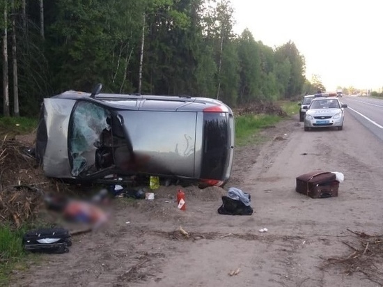 Лось на трассе в Тверской области привёл к смерти водителя