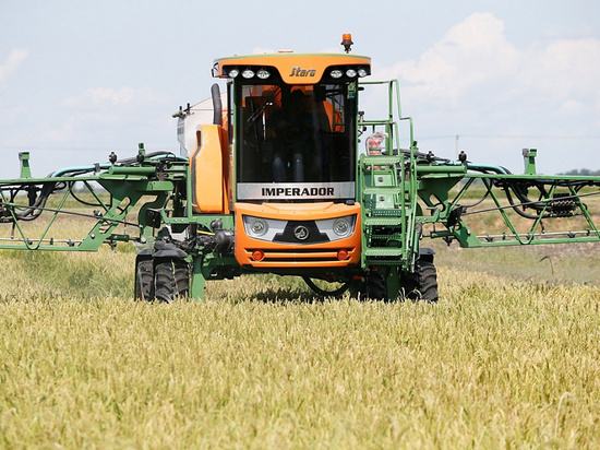 Губернатор Кондратьев призвал убрать урожай за 15 дней