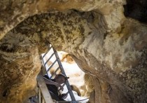 Останки древних животных, населявших полуостров еще в доледниковый период, были обнаружены учеными Крымского федерального университета им