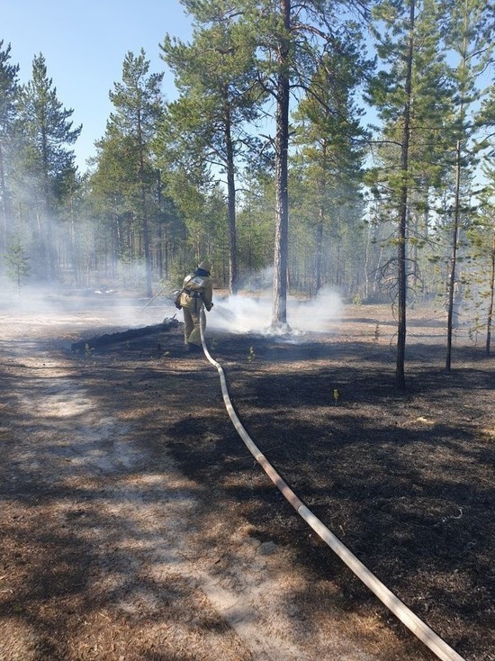 Первый летний пожар в ЯНАО случился в Губкинском