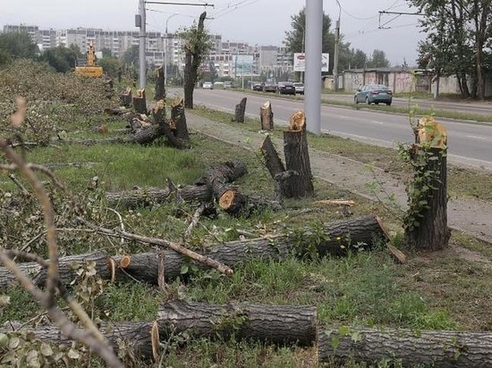 В Иркутске планируется снести около 3 тыс. деревьев