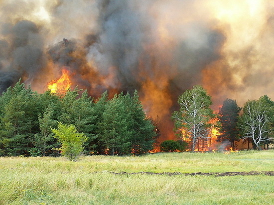 В Воронежской области объявили «пожарное» штормовое предупреждение
