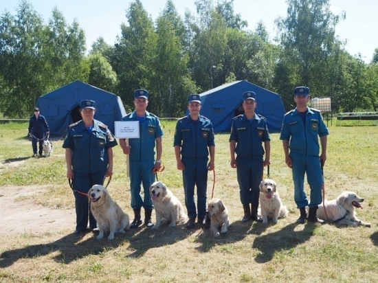 Лишь половина собак-спасателей ЦФО прошла экзамены в Кураково
