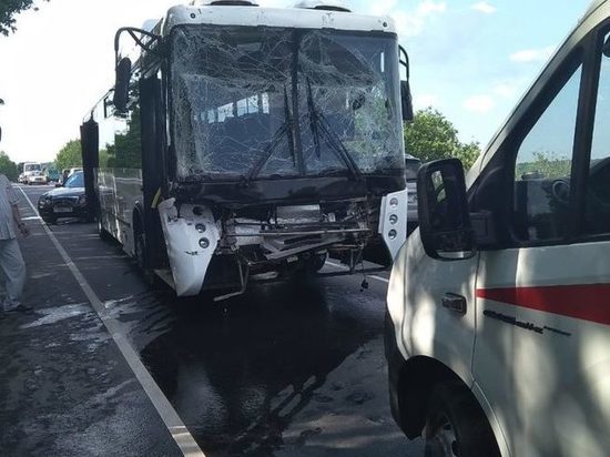 Под Калининградом автобус «Газпрома» попал в ДТП из-за переходившей дорогу утки