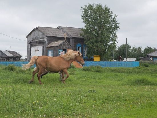 Два НКО Югры победили во Всероссийском конкурсе