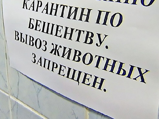 В двух районах Ивановской области снят карантин по бешенству