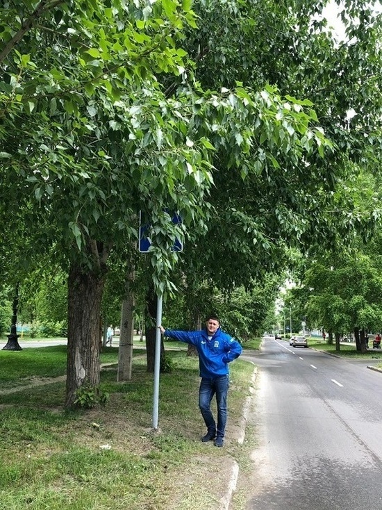 ЛДПРовцы нашли скрытые знаки в Барнауле