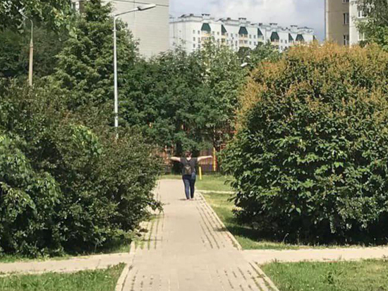 Дебоширку задержали, планируется проверить ее психическое здоровье