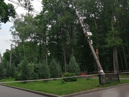 Упавшее в тульском парке дерево повредило опору ЛЭП