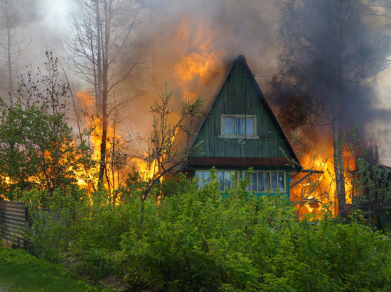 За сутки в Калининграде сгорели три дачных домика