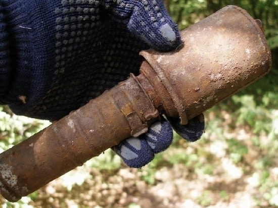 В Калининграде на улице Зоологической нашли гранату