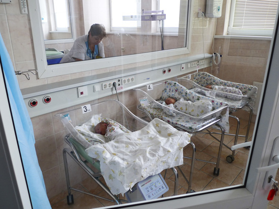 Назван топ российских регионов по рождаемости и смертности