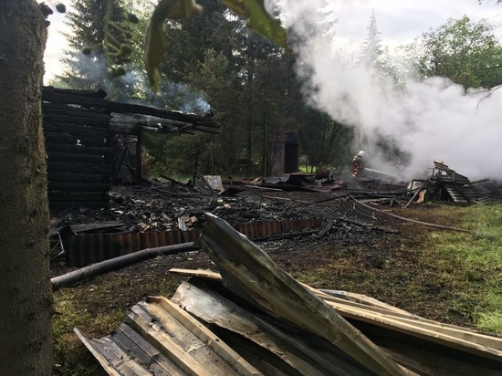 В коллективном саду Свердловской области при пожаре погибли двое взрослых и ребенок