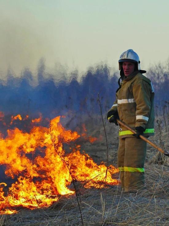 В День России в Ивановской области сгорели два больших дома, два автомобиля, баня и лесной массив