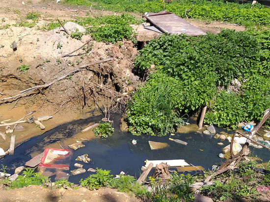 Под Тверью зловонные воды из канализации сливали в Тьмаку