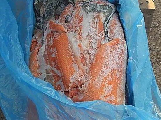 В Псковскую область не пустили 18 тонн хребтов норвежского лосося