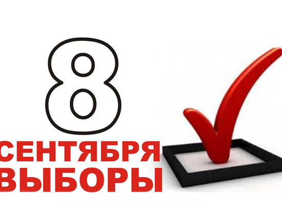 В Липецкой области официально началась избирательная кампания
