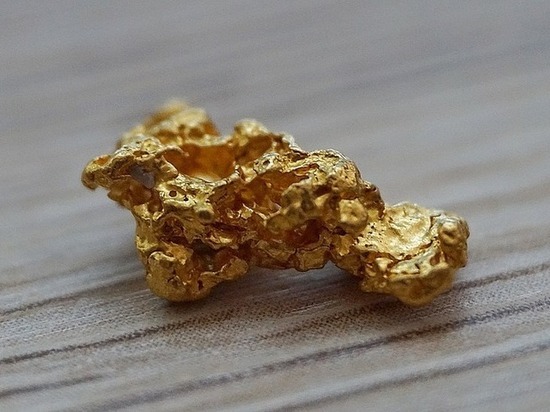 Забайкальца осудили за контрабанду золота на 7 млн рублей в Бурятии