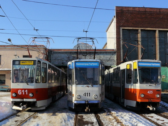 Жители Калининграда предпочитают экономичным электробусам убыточные трамваи и троллейбусы