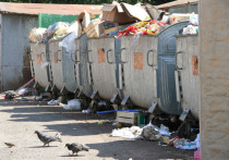Ежегодно жители Башкортостана образуют больше миллиона тонн твердых коммунальных отходов