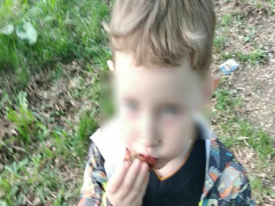Биологический отец бросил похищенного четырехлетнего сына в лесу за пределами Челябинской области
