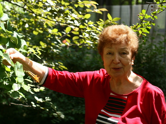 На Соколе 80-летняя женщина устроила большой цветник рядом с домом