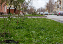 Глава Кемерова Илья Середюк рассказал о законопроекте областного уровня, который подразумевает серьезные штрафы для "королей парковки"