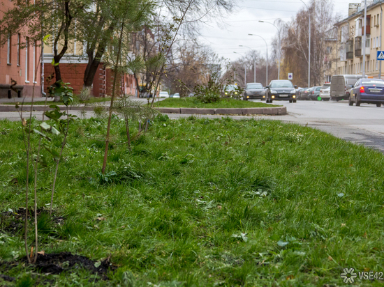 Кузбасских "королей парковки" заставят платить штрафы