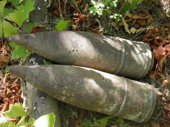 В Калининградской области найдены 19 артиллерийских снаряда времён ВОВ