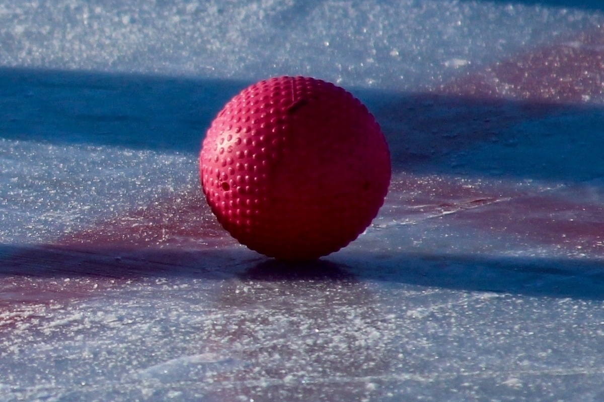 Федерация хоккея с мячом извинилась за запрет на работу журналистов
