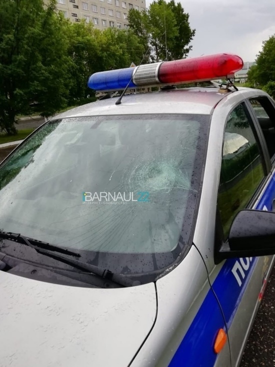 Жители Заринска позвали собутыльников помочь в драке с полицейскими