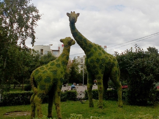 Из центра Красноярска навсегда убрали цветочных жирафов