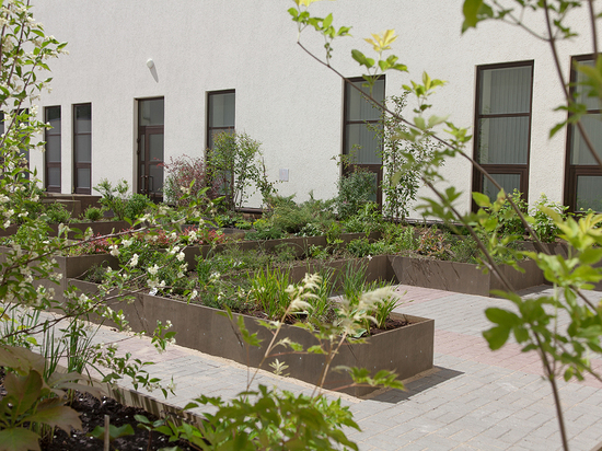 Мемориальный ботанический сад откроется в нижегородском крематории