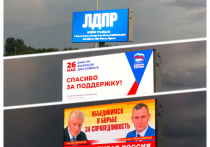 Одним из признаков пробуждающегося политического бомонда Тульской области перед выборами стала баннерная реклама, размещаемая на билбордах вдоль дорог и около крупных торговых центров