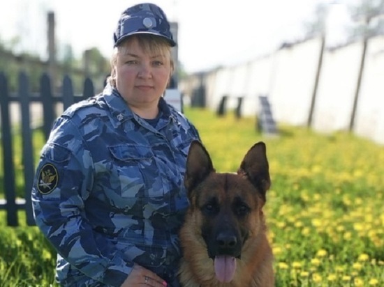 Собака из колонии помогла найти пропавшего в Тверской области дедушку