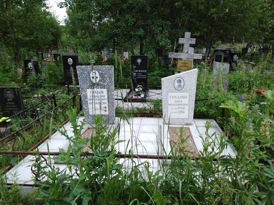 Борщевик в Твери начал захват кладбищ