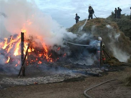 В деревне под Архангельском огонь уничтожил результаты сенокоса