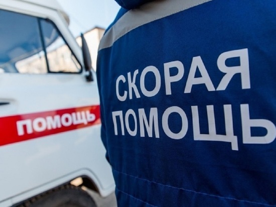 В Дубовском районе на трассе в ДТП с «КамАЗом» погиб водитель «Лады»