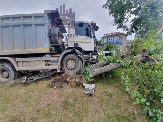 На правом берегу Красноярска грузовик свалил дерево