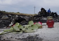 Представители Объединенной следственной группы (JIT), представившие в среду свои выводы о крушении малайзийского Boeing рейса MH17 в Донбассе в 2014 году, назвали дату суда над обвиненными в причастности к катастрофе