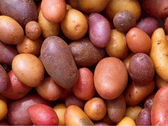 В Псковской области дорожает картофель