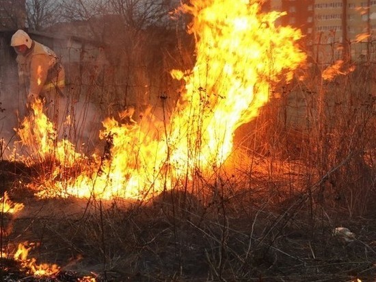 В Рязанской области во время боевых учений загорелась трава