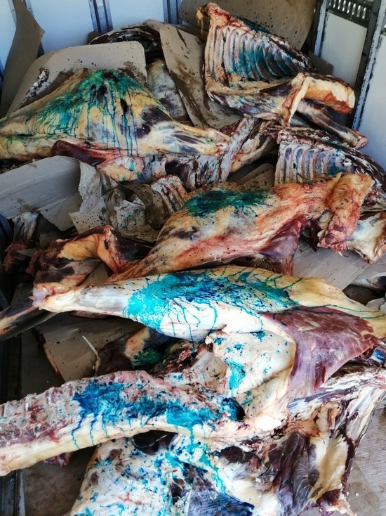 В Псковской области уничтожили около 1,2 тонны говядины