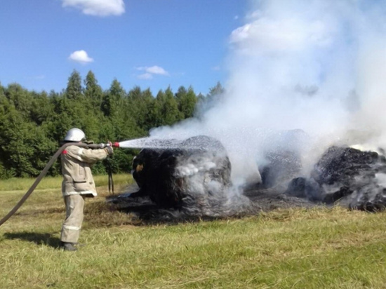 В Руднянском районе сгорело семь рулонов сена