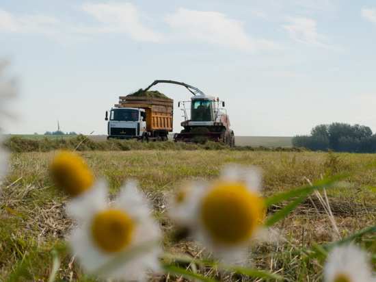 Сельскохозяйственные предприятия Ивановской области начали кормозаготовку