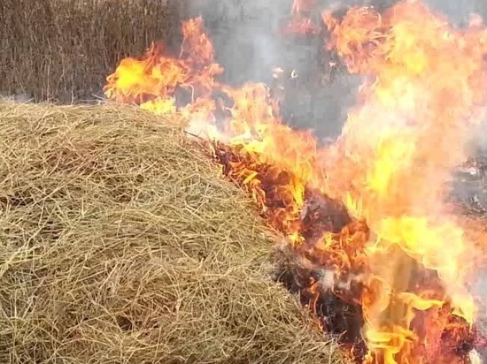 Житель Бугуруслана случайно поджег соседский скотный двор