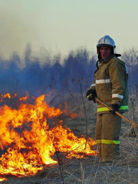 20 июня в Ивановской области горели склад с текстилем, садовый дом и лесной массив